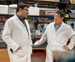 Thioredoxin antioxidant could soon be used to improve cancer treatment