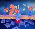 Current and Future Applications of Rabbit Monoclonal Antibodies
