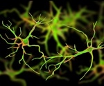 Scientists discover rare autoimmune disease triggered by testicular cancer