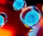 Stem Cell Sources, Types, and Uses in Research