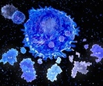 Detecting Cytokines using Intracellular Flow Cytometry