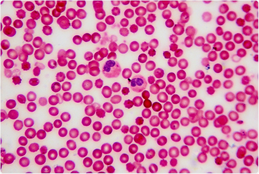 Cells