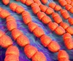 Probiotic containing common gut bacterium could halve cardiovascular disease rates