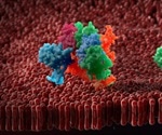 Using NMR to Study Protein Structure, Dynamics and Mechanisms