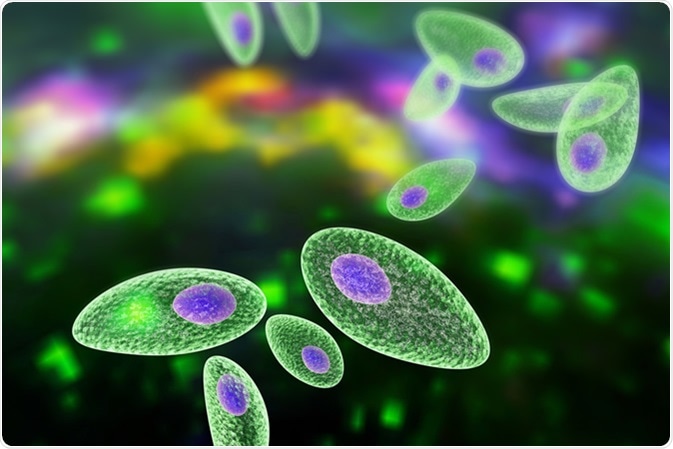 Toxoplasma gondii. Protozoan which is transmitted from cats and other animals and causes toxoplasmosis especially dangerous for pregnant women. 3D illustration Credit: Kateryna Kon / Shutterstock