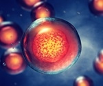 Can Stem Cells be Used to Treat Epilepsy?