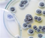 Unapproved Antibiotics and Antibiotic Resistance