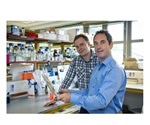 New 'molecular scaffolding' could help restore sight loss caused by glaucoma
