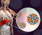 Hepatitis B Structure: Capsid Flexibility and Function
