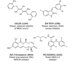 Modulation and Functions of MAP Kinase Pathways