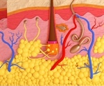 Scientists discover new pain-sensing organ underneath the skin