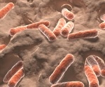 Type 1 diabetes linked to gut microbiome and genetic factors