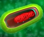 New antibiotics on the horizon as scientists discover a weakness in the cell wall of pathogenic bacteria