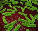 Geneticists prove therapeutic effects of probiotics on vaginal health