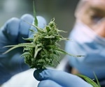 Can CBD be Used to Prevent or Treat Psychosis?