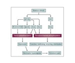 Intracellular Signaling Pathways Involved in Pain