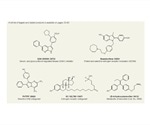 Nuclear Hormone Receptor Signaling for Cancer Research