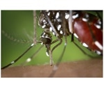 Scientists join hands to protect Australia from growing threat of infectious diseases