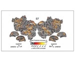 Nearly identical brain activity is evoked from processing written or spoken words