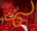 Scientists step closer to an Ebola cure