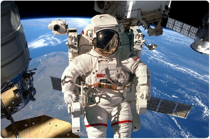 Image Credit: Andrey Armyagov / Shutterstock