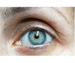 Research examines role of Nicotinamide in preventing retinal cell damage caused by glaucoma