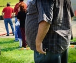 New study uncovers how prior obesity impacts viral consequences