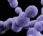 Antibiotic resistance is transferring from humans to animals