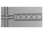 Antibody Discovery: Should You Switch to Picodroplet Technology?