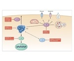 RAS Oncoprotein Drug Discovery