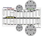 Optimized Powder Flow Characterization Methods for Pharmaceuticals