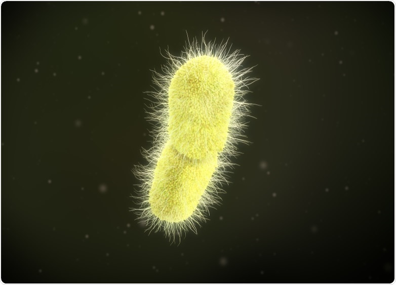 Klebsiella pneumoniae