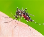 Study reveals distinct infection strategies of Zika and dengue viruses