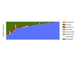 Study describes initial baseline healthy gut microbiome database and abundance profile