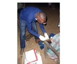 Molecular changes are linked with adverse events following treatment of lymphatic filariasis