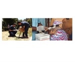 Findings highlight critical importance of mass dog vaccination