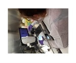 Robust replication model of human noroviruses may pave way for effective therapeutics