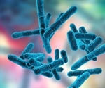 How “Fad” Diets Affect the Gut Microbiota
