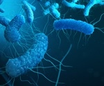 Genetic Factors that Influence Bacterial Diversity in the Human Gut
