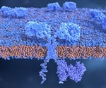Scientists use CAR-T cells to reverse cardiac fibrosis