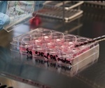 Creating Hypoimmunogenic Induced Pluripotent Stem Cells (iPSCs)