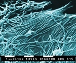 Second round of Ebola vaccination trials on the way to DRC