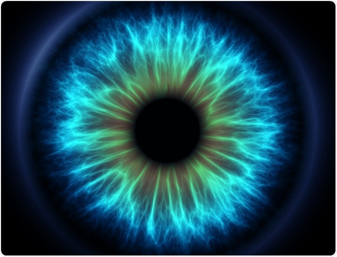 Eye (vision)