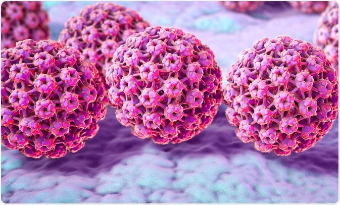 HPV Virus