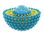 Tiny fat bubbles hold key to rebooting the immune system and calming disease process