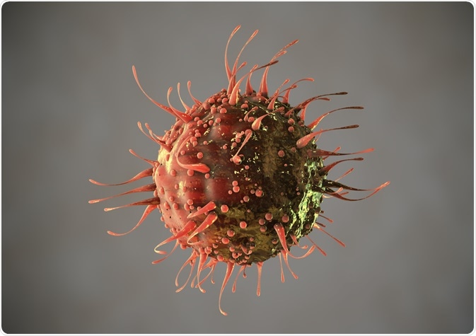 Virus