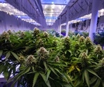 Therapeutic Uses of Cannabis