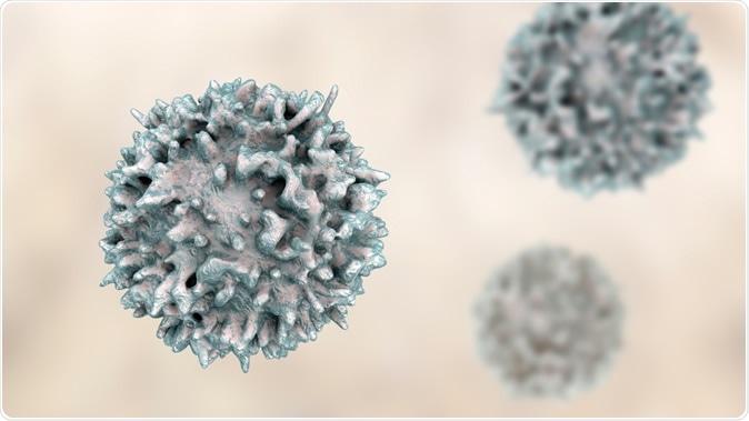 Lymphocyte, Closeup view of B-cell. 3D illustration. Image Credit: Kateryna Kon / Shutterstock