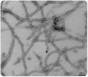TEM of active recombinant Tau (K18), P301L mutant preformed fibrils (PFFs) (SPR-330)