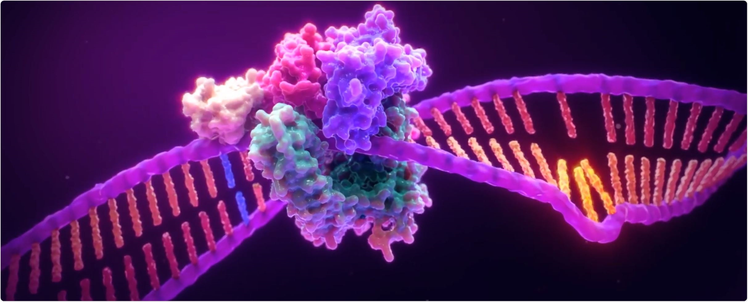 DNA MSI